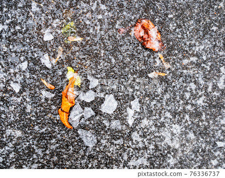 frozen fallen leaves on ice-covered asphalt path frozen fallen leaves on ice-covered asphalt path 76336737