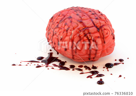 Bloody Brain Prop Bloody Brain Prop 76336810