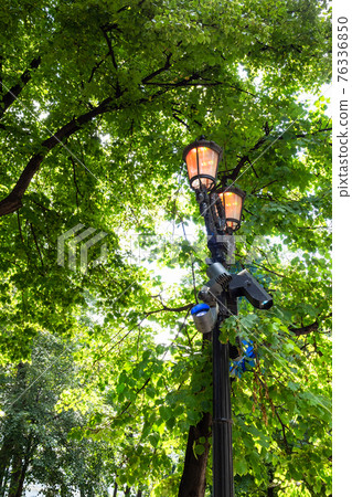 color urban lanterns and green trees color urban lanterns and green trees 76336850