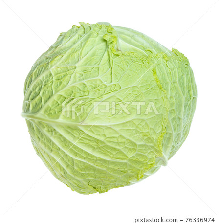 fresh savoy cabbage cutout on white fresh savoy cabbage cutout on white 76336974