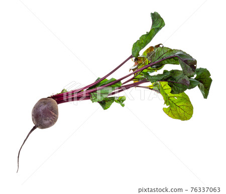 fresh organic garden beet root with greens cutout 76337063
