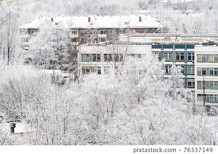 view of snow-covered trees and apartment houses view of snow-covered trees and apartment houses 76337149