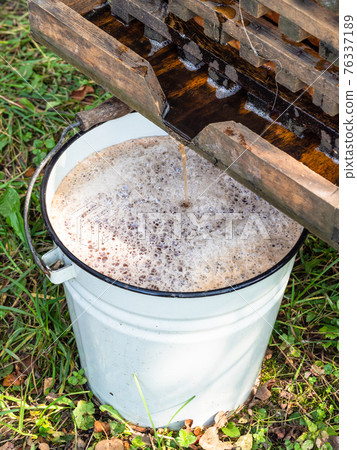 fresh apple juice flows from press into bucket fresh apple juice flows from press into bucket 76337189