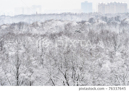 above view of snow-covered forest and city above view of snow-covered forest and city 76337645