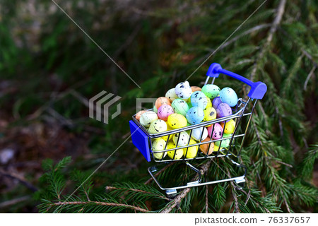 Multicolored easter eggs in a shopping basket on the background of a christmas tree and pine Multicolored easter eggs in a shopping basket on the background of a christmas tree and pine 76337657