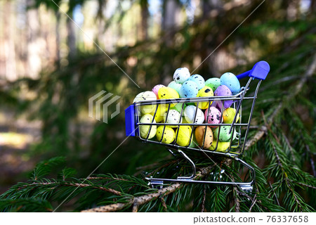 Multicolored easter eggs in a shopping basket on the background of a christmas tree and pine Multicolored easter eggs in a shopping basket on the background of a christmas tree and pine 76337658