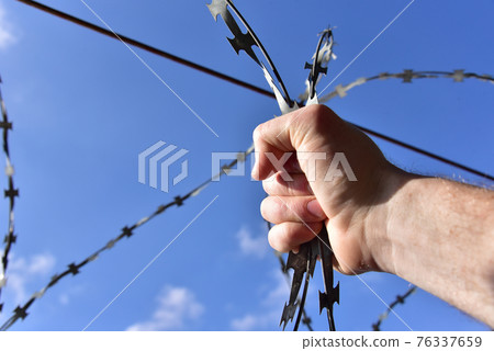 Male hand holding on to the barbed wire against the blue sky. The concept of not freedom Male hand holding on to the barbed wire against the blue sky. The concept of not freedom 76337659