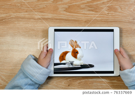 Digital technology in medicine. Consultation, appointment to the pediatrician. Digital technology in medicine. Consultation, appointment to the pediatrician. 76337669