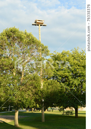 Osprey Nest on a Pole 76338376