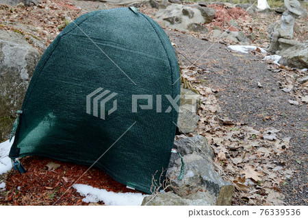 Garden Cedafr Protected 76339536