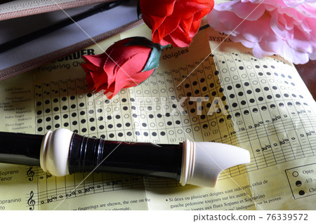 Recorder Musical Instrument 76339572