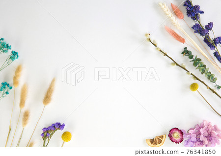 Fresh bight spring dried Flower frame isolated on white background with copy space, romantic,summer modern concept, flat lay, overhead view Fresh bight spring dried Flower frame isolated on white background with copy space, romantic,summer modern concept, flat lay, overhead view 76341850