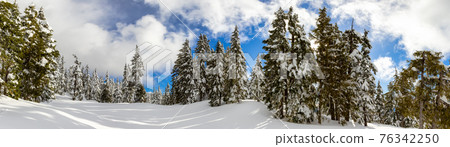 Panoramic View of Canadian Nature Landscape Panoramic View of Canadian Nature Landscape 76342250