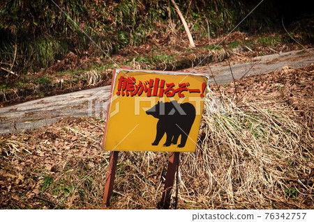 Bear bear out attention 76342757