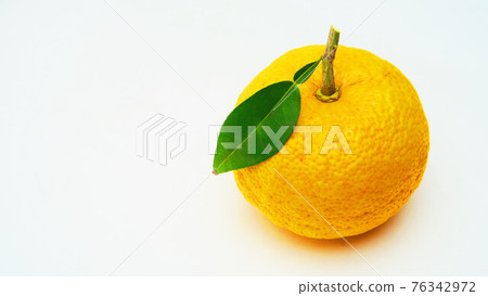 柚子果實特寫照片 柚子果實特寫照片 76342972