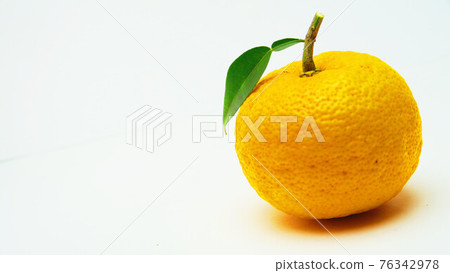 Close-up photo of Yuzu fruit 76342978