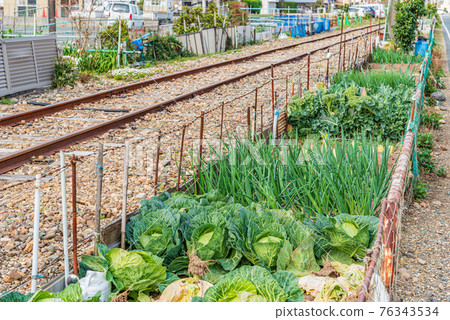 Kitchen garden beside the railroad track Kitchen garden beside the railroad track 76343534