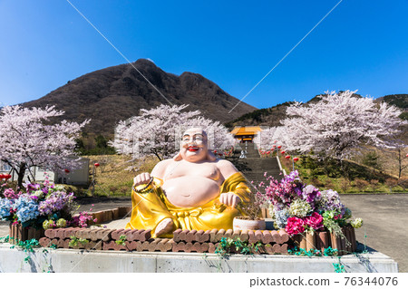 Row of cherry blossom trees and giant Buddha statue 76344076