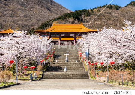 Spring Hosuiji Temple 76344103
