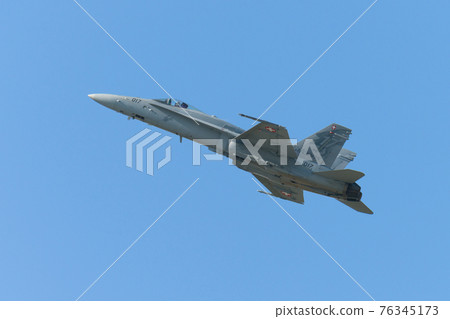 Swiss Air Force F / A-18C Hornet Swiss Air Force F / A-18C Hornet 76345173