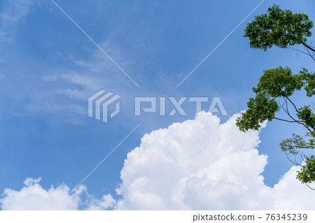 綠色和晴朗的天空 綠色和晴朗的天空 76345239