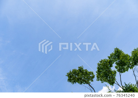 綠色和晴朗的天空 76345240