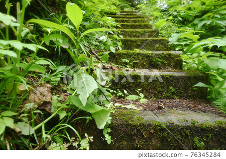 Mossy stairs (Hokkaido) Mossy stairs (Hokkaido) 76345284