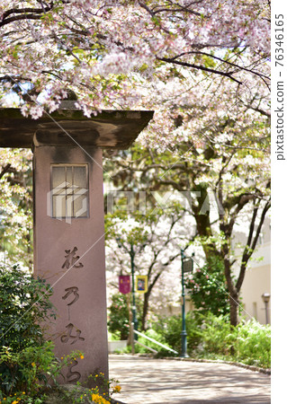 Takarazuka Hana no Michi Takarazuka Hana no Michi 76346165
