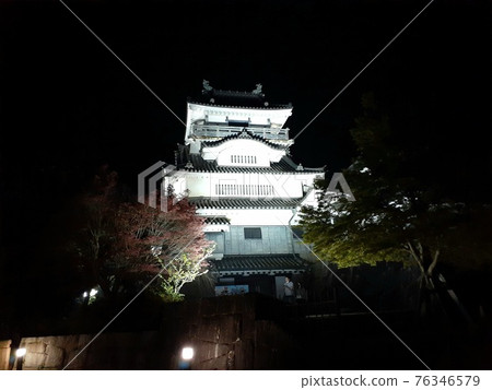 夜晚的櫻花和城堡的景色 夜晚的櫻花和城堡的景色 76346579