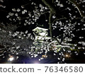 城堡風光和夜晚的櫻花 76346580