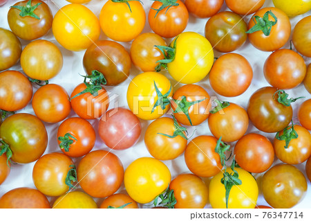 新鮮的有機西紅柿 76347714