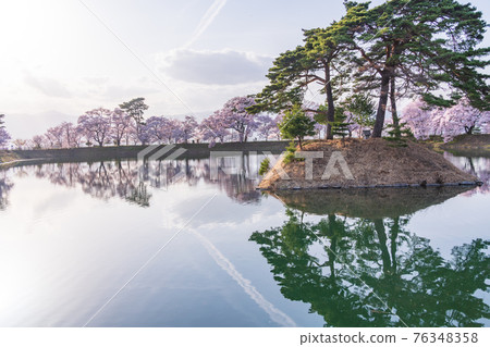 (Nagano Prefecture) Cherry blossoms on the bank of Rokudo in the afternoon (Nagano Prefecture) Cherry blossoms on the bank of Rokudo in the afternoon 76348358