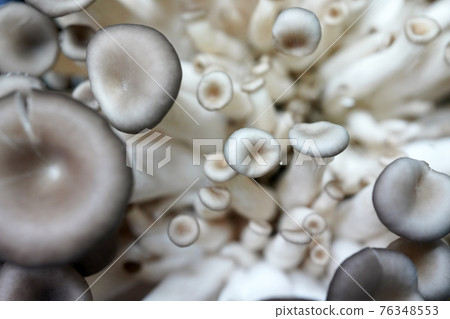 Fresh shiitake mushrooms, mushroom objects 76348553