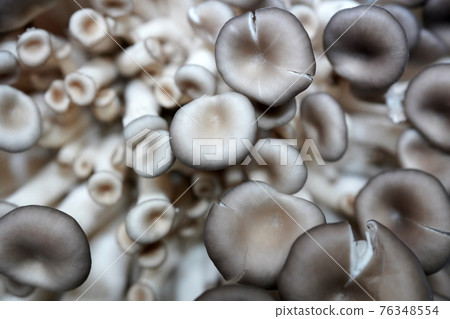 Fresh shiitake mushrooms, mushroom objects 76348554