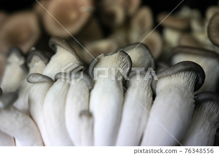 Fresh shiitake mushrooms, mushroom objects 76348556