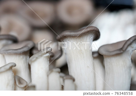 Fresh shiitake mushrooms, mushroom objects 76348558