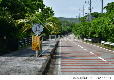 Iriomote Island speed caution sign Iriomote Island speed caution sign 76348884