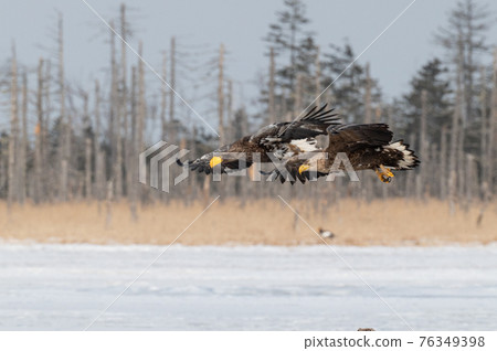 Lake Furen winter scenery Lake Furen winter scenery 76349398