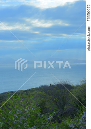櫻花之丘的海景 76350072