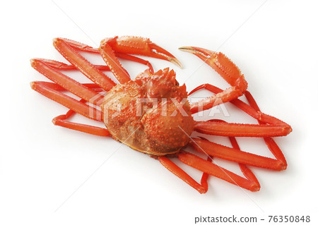 Hokkaido red crab on a white background Hokkaido red crab on a white background 76350848