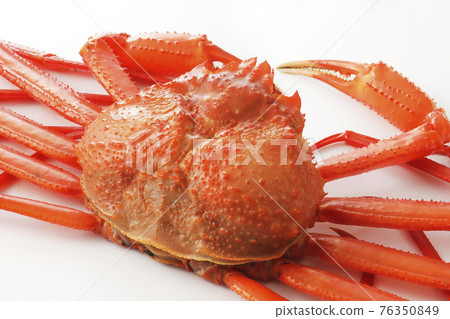Hokkaido red crab on a white background Hokkaido red crab on a white background 76350849