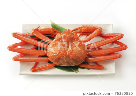 Hokkaido red crab on a white background Hokkaido red crab on a white background 76350850