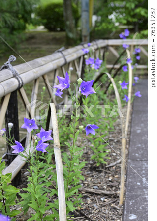智造院 智造院 76351232