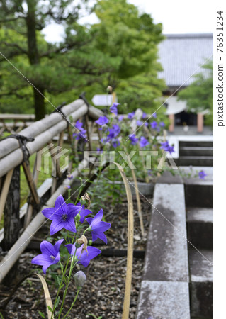 智造院 智造院 76351234