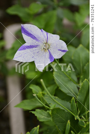 智造院 智造院 76351241