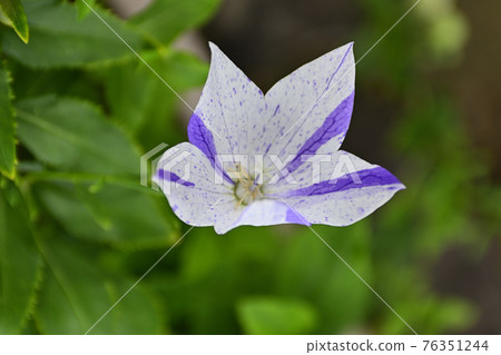 智造院 智造院 76351244