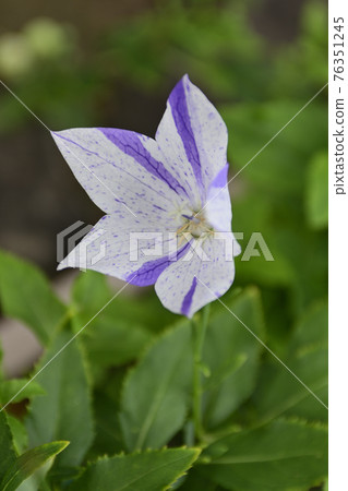 智造院 智造院 76351245