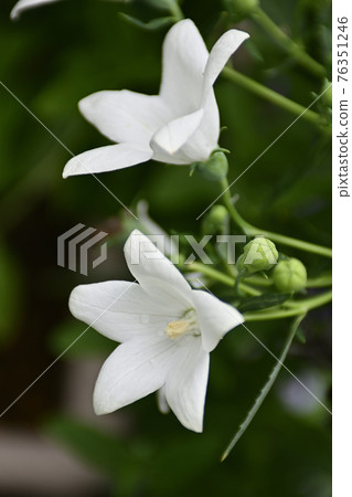 智造院 智造院 76351246