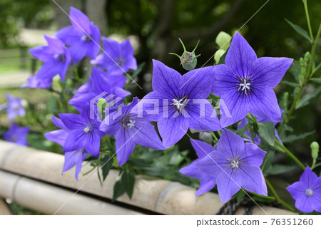 智造院 智造院 76351260