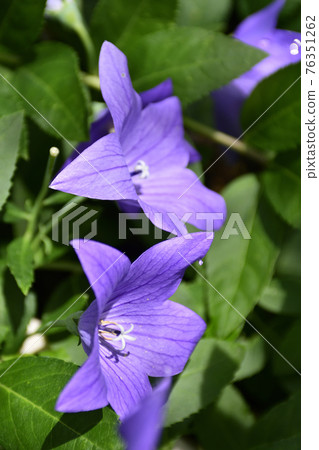 智造院 智造院 76351262